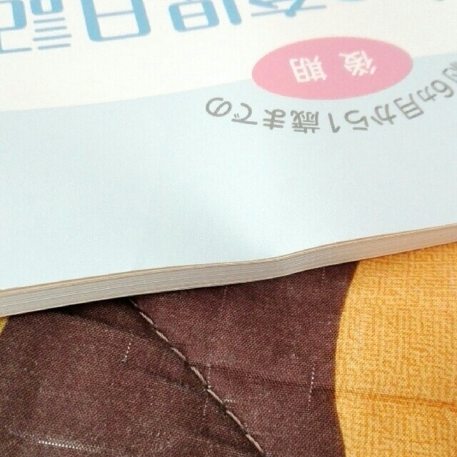 森永乳業(モリナガニュウギョウ)のわたしの育児日記　後期 キッズ/ベビー/マタニティのメモリアル/セレモニー用品(アルバム)の商品写真