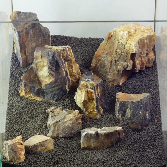 木化石セット 30キューブ 3-16cm アクアリウム テラリウム BS144