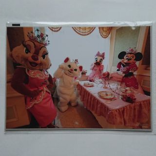 ディズニー(Disney)のイマジニング ザ マジック 写真(キャラクターグッズ)