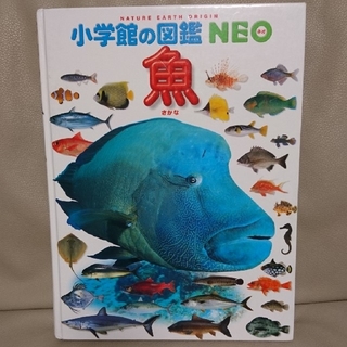 小学館の図鑑　NEO 魚(絵本/児童書)