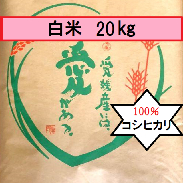 お米　H30　愛媛県産コシヒカリ　白米　20㎏食品/飲料/酒