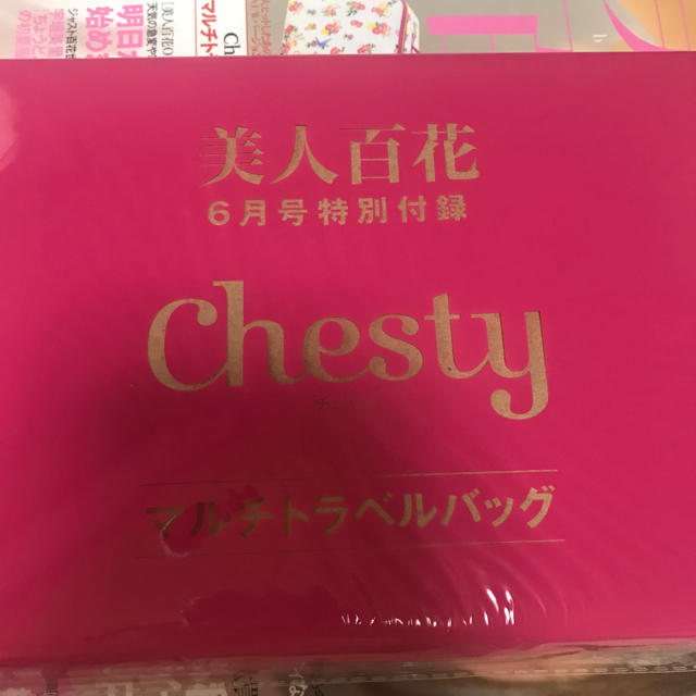 Chesty(チェスティ)の美人百花6月号特別付録 chestyマルチトラベルバック メンズのバッグ(トラベルバッグ/スーツケース)の商品写真