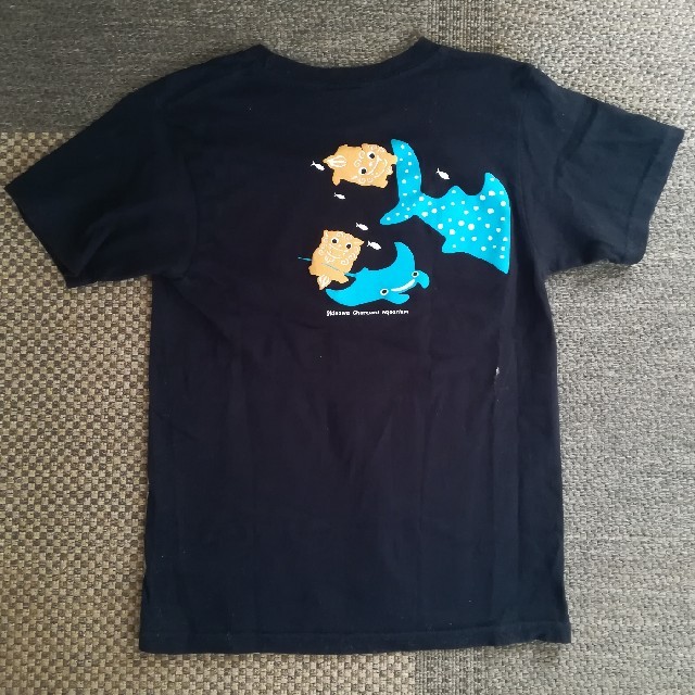 美ら海水族館Tシャツ レディースのトップス(Tシャツ(半袖/袖なし))の商品写真