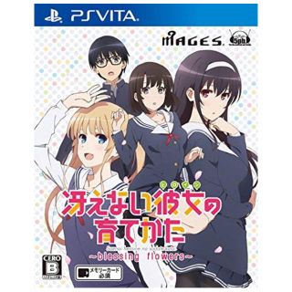 ソニー(SONY)の【送料無料】冴えない彼女の育てかた  れん様専用(アニメ/ゲーム)