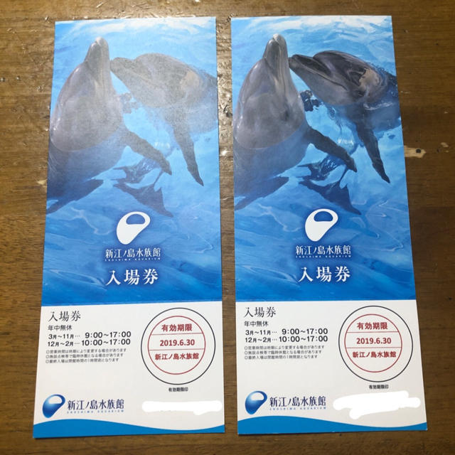 新江ノ島水族館 チケット 入場券 チケットの施設利用券(水族館)の商品写真