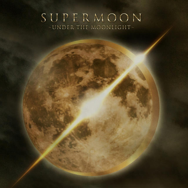 SUPERMOON 専用出品