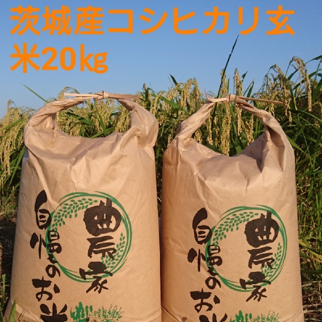 kaokao様専用茨城30年産コシヒカリ玄米20㎏ 食品/飲料/酒の食品(米/穀物)の商品写真