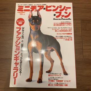 ミニチュア ピンシャー ファン(犬)