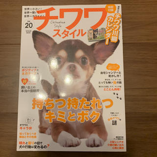 チワワスタイル vol.20(犬)