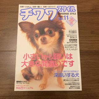 チワワスタイル vol.11(犬)