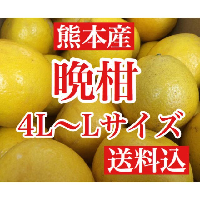 熊本産 河内晩柑(ジューシーオレンジ)  家庭用10キロ L〜4Lサイズ 送料込 食品/飲料/酒の食品(フルーツ)の商品写真