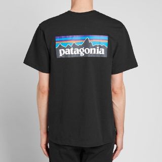 パタゴニア(patagonia)のSサイズ パタゴニア tシャツ ロゴt P-6ロゴ レスポンシビリティー(Tシャツ/カットソー(半袖/袖なし))