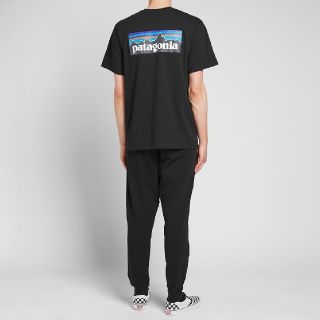 パタゴニア(patagonia)のSサイズ 2枚 パタゴニア tシャツ ロゴt P-6ロゴ レスポンシビリティー(Tシャツ/カットソー(半袖/袖なし))