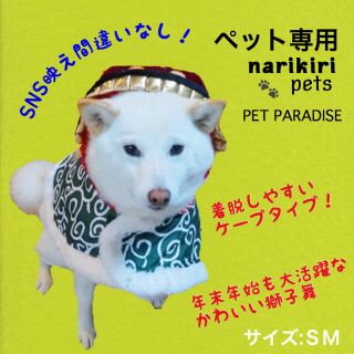 犬用アヒル口輪 無駄吠え防止 噛みつき防止の通販 ラクマ