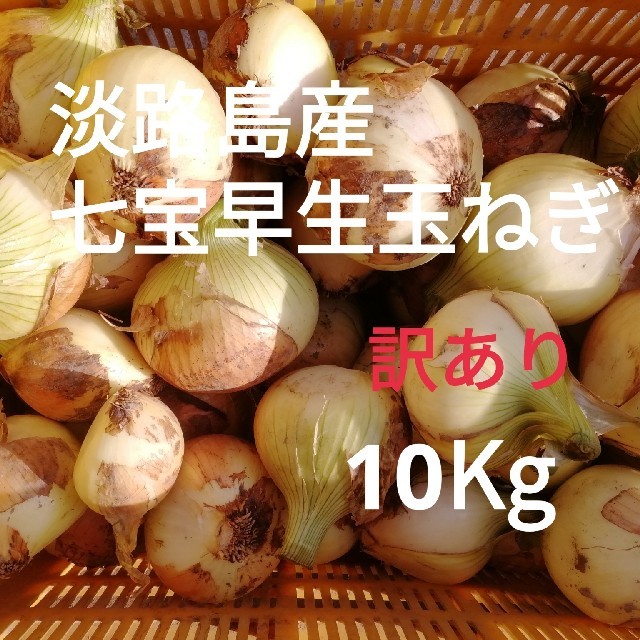 ☆訳あり10Kg☆淡路島新玉ねぎ 食品/飲料/酒の食品(野菜)の商品写真