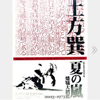 土方巽 夏の嵐 映画 チラシ 2枚(印刷物)