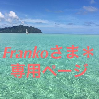 Frankoさま＊おまとめ＊(その他)