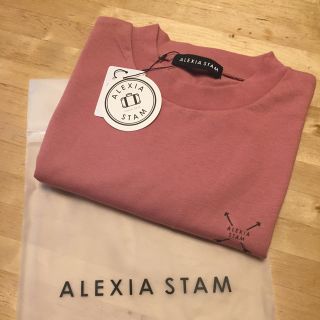 アリシアスタン(ALEXIA STAM)のALEXIA STAM 厚手オーバーサイズTシャツ(Tシャツ(半袖/袖なし))