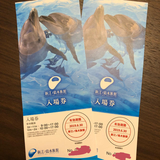 新江ノ島水族館 ペア チケット 新江ノ島水族館 ペアチケット
