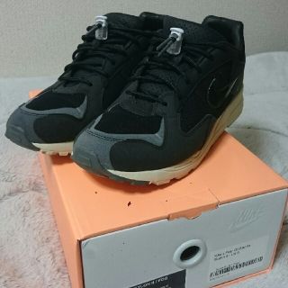 フィアオブゴッド(FEAR OF GOD)のFear of god Nike スニーカー スカイロン(スニーカー)