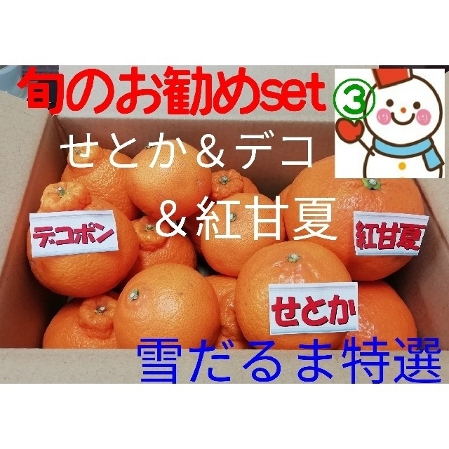 おすすめset③♥️雪だるまの果物(せとか＆デコ＆紅甘夏)不知火 食品/飲料/酒の食品(フルーツ)の商品写真