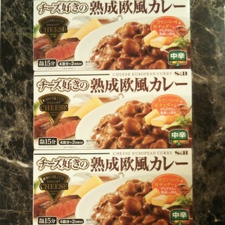 お値下げ❗️新発売「S&Bチーズ好きの熟成欧風カレー」×3箱 特別価格(その他)