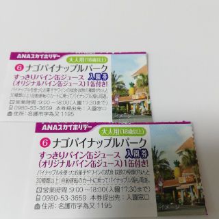 名護パイナップルパーク 無料入園券2枚(遊園地/テーマパーク)