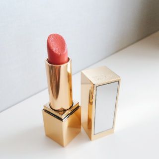 エスティローダー(Estee Lauder)のESTEE LAUDER※ピュアカラーエンヴィリップスティック※260番(口紅)