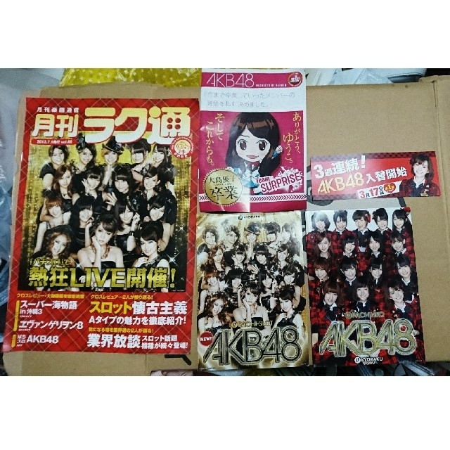 AKB48(エーケービーフォーティーエイト)の【非売品】AKB48 チームサプライズ 広告パンフレット エンタメ/ホビーのタレントグッズ(アイドルグッズ)の商品写真