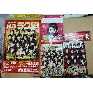 エーケービーフォーティーエイト(AKB48)の【非売品】AKB48 チームサプライズ 広告パンフレット(アイドルグッズ)