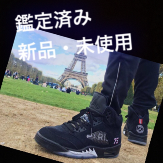 air jordan 5 retro paris saint germain ③