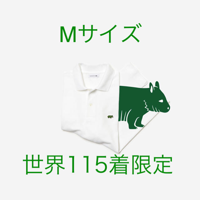 ポロシャツM 新品未使用 Lacoste キタケバナウォンバット 絶滅危惧種 115枚限定