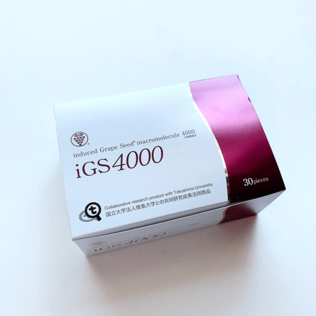 iGS4000ジェル - 健康用品