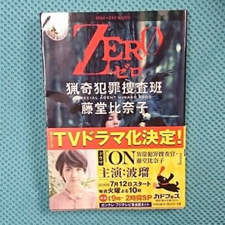 ZERO 猟奇犯罪捜査班 藤堂比奈子(文学/小説)