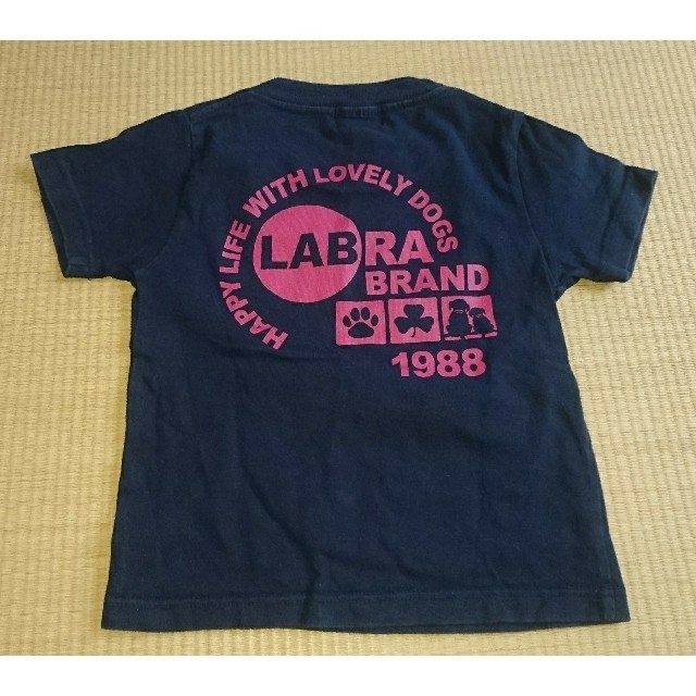 Labrador Retriever(ラブラドールリトリーバー)のラブラドールレトリバー Tシャツ 100㎝ キッズ/ベビー/マタニティのキッズ服男の子用(90cm~)(Tシャツ/カットソー)の商品写真