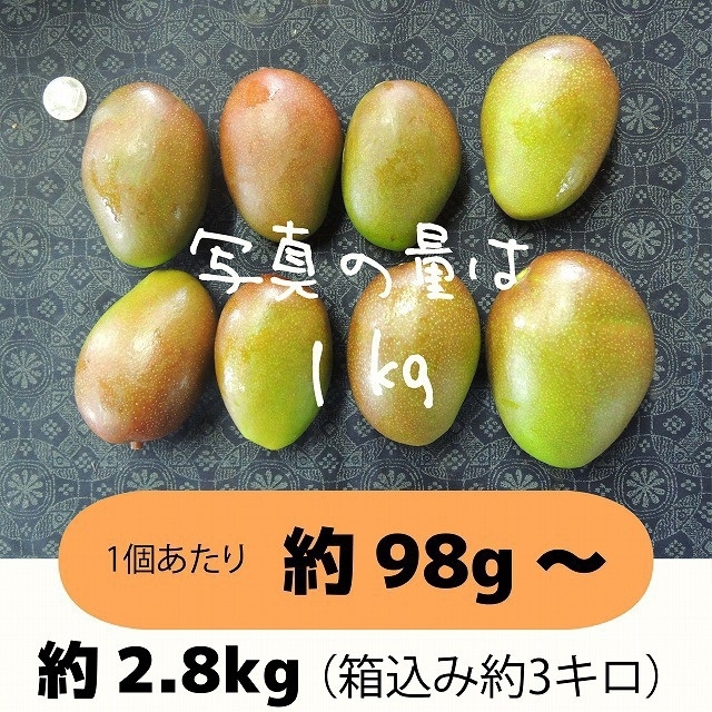 ［橙3］約2.8キロ　グリーンマンゴー 青マンゴー　摘果マンゴー　加工用 食品/飲料/酒の食品(フルーツ)の商品写真