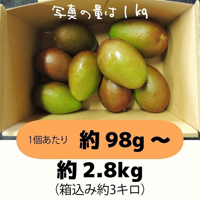 ［橙3］約2.8キロ　グリーンマンゴー 青マンゴー　摘果マンゴー　加工用 食品/飲料/酒の食品(フルーツ)の商品写真