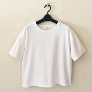 ビューティアンドユースユナイテッドアローズ(BEAUTY&YOUTH UNITED ARROWS)のビューティ&ユース♡コットン白Tシャツ(Tシャツ(半袖/袖なし))