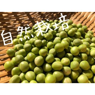 「自然栽培」グリーンピース むきみ 約300g(野菜)