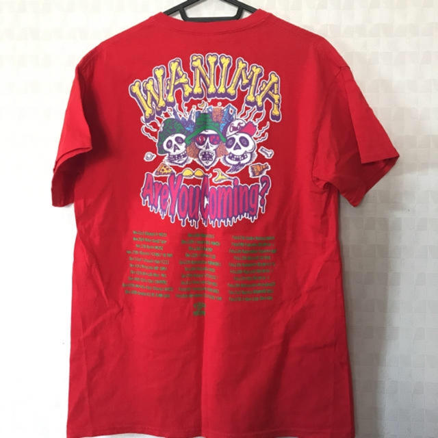 希少 新品未使用 WANIMA Tシャツ