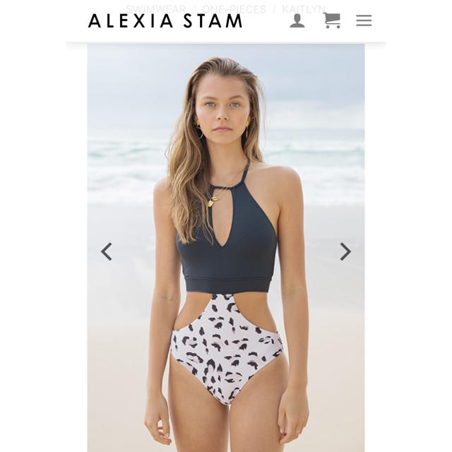 ALEXIA STAM(アリシアスタン)の＊アリシアスタン タンキニビキニ  MAYU様専用 レディースの水着/浴衣(水着)の商品写真