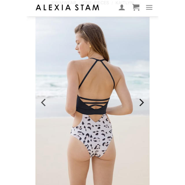 ALEXIA STAM(アリシアスタン)の＊アリシアスタン タンキニビキニ  MAYU様専用 レディースの水着/浴衣(水着)の商品写真