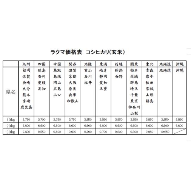 お米 H30 愛媛県産コシヒカリ 玄米 30㎏
