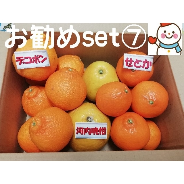 お勧めset⑦❤️せとか&デコ&河内晩柑 食品/飲料/酒の食品(フルーツ)の商品写真