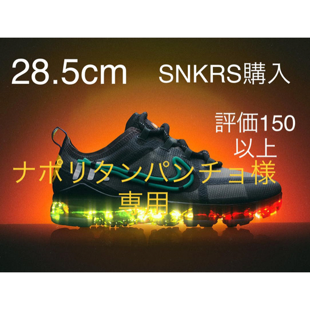 NIKE(ナイキ)のCPFM NIKE VAPOR MAX カクタス ナイキ ヴェイパーマックス メンズの靴/シューズ(スニーカー)の商品写真