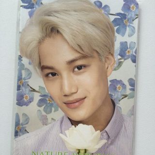 ネイチャーリパブリック(NATURE REPUBLIC)のEXOカイノート(アイドルグッズ)