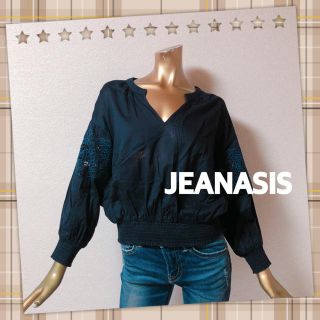 ジーナシス(JEANASIS)のJEANASIS ★ 花柄 フラワー 刺繍 Vネック ブラウス(シャツ/ブラウス(長袖/七分))