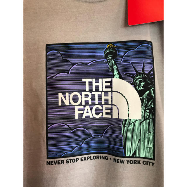 THE NORTH FACE - ノースフェイス Tシャツ ニューヨーク限定 自由の ...