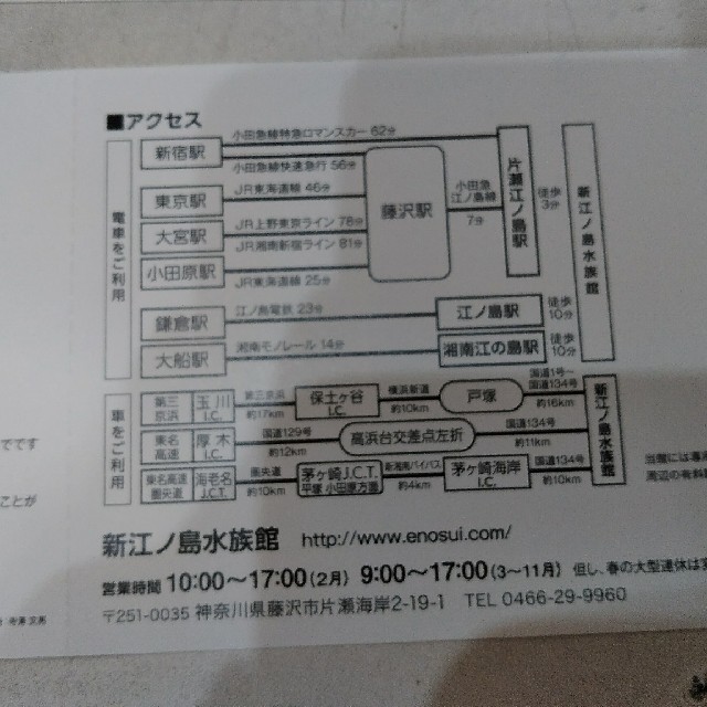 新江ノ島水族館　２枚セット チケットの施設利用券(水族館)の商品写真