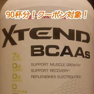 ディーエヌエス(DNS)のxtend BCAA レモンライム味  90杯分(トレーニング用品)
